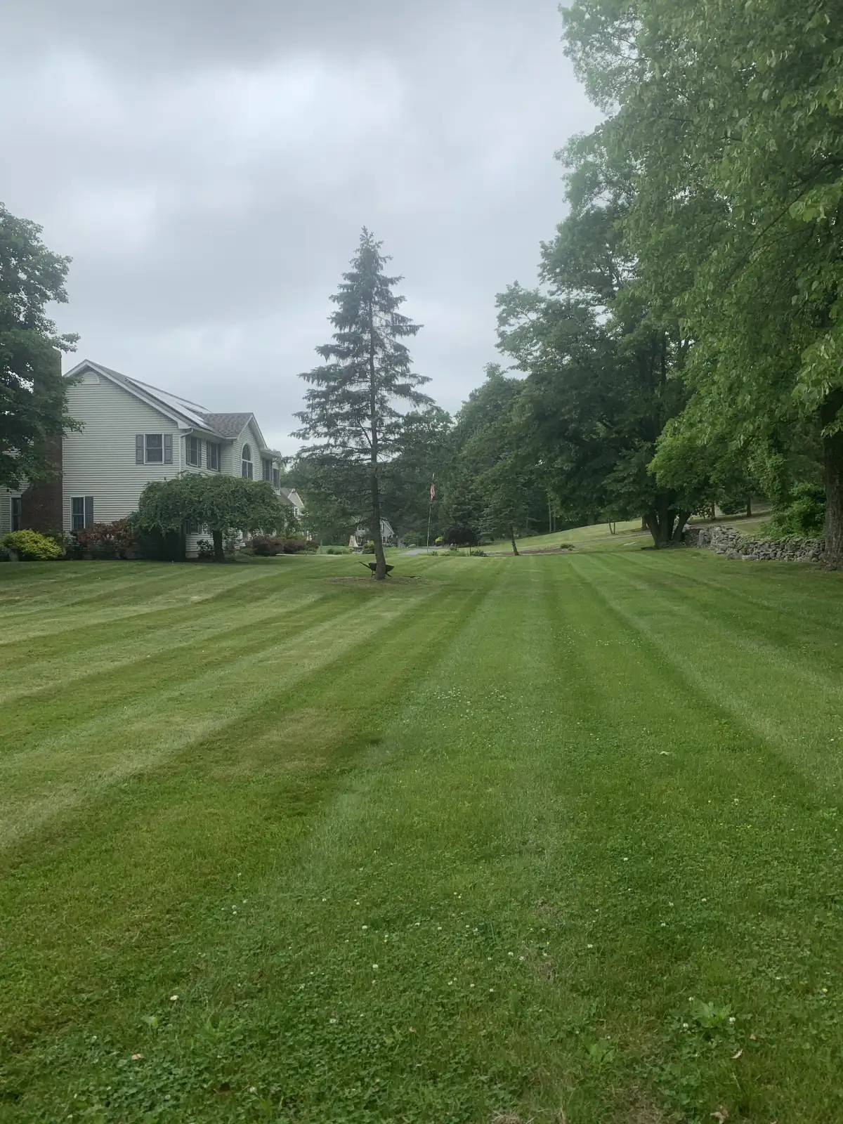 Shrub pruning and mulch bed maintenance in the Hudson Valley